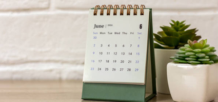 Calendar and Plants Sitting on a Desk