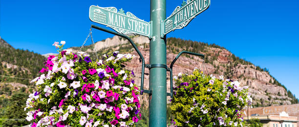 Flowers Hanging from a Street Sign