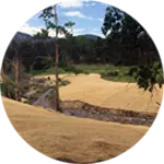 circular image of fish creek