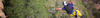 SAR header